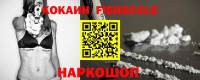 индика Новодвинск