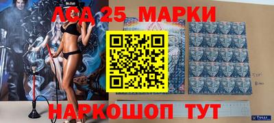 индика Новодвинск