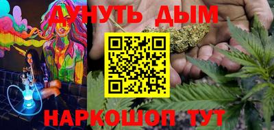 индика Новодвинск