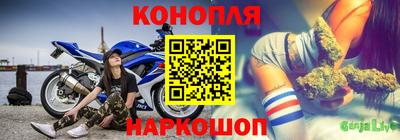 сатива Новокубанск