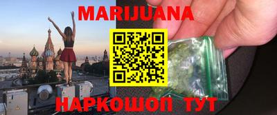 индика Новодвинск