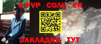 индика Новодвинск
