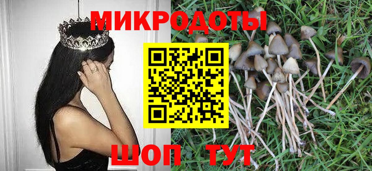 где найти   Вход с VPN  Кимры  Галлюциногенные грибы прущие грибы 