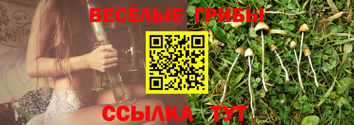 ГАШ Кимры