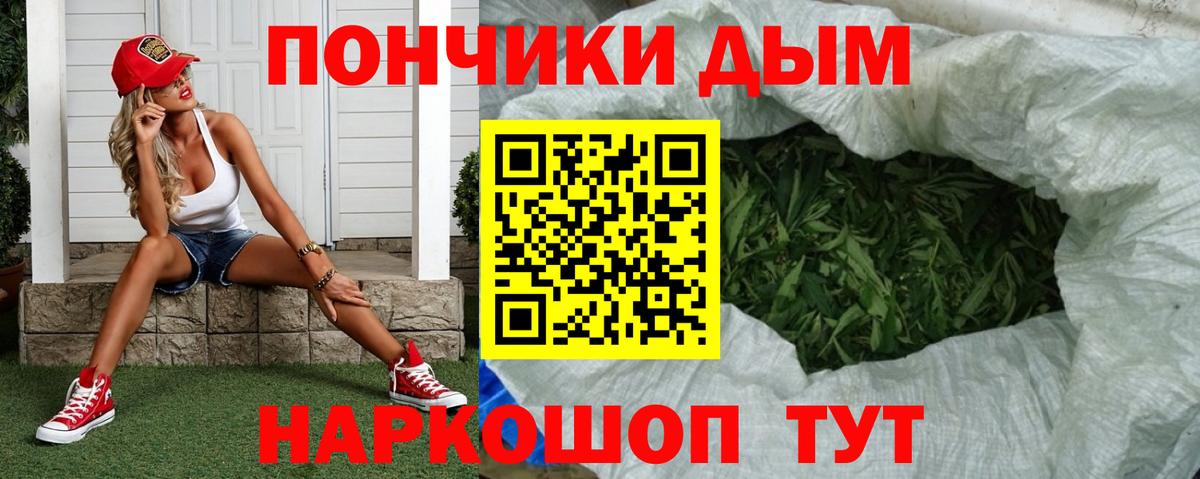 Бошки Шишки ГИДРОПОН Кимры