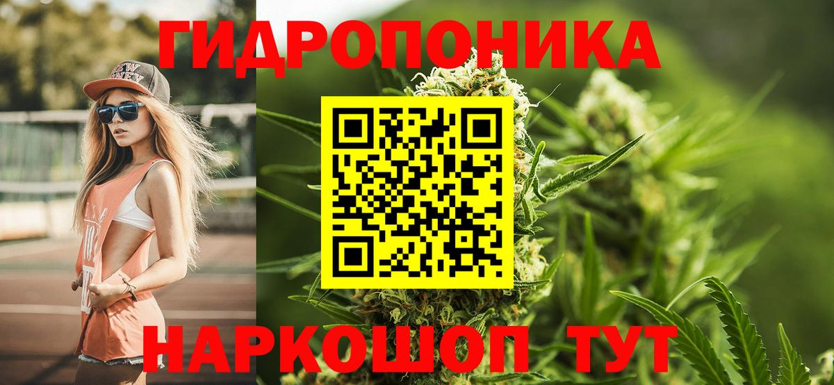 Кимры  Конопля тримм  Вход с VPN  Бошки Шишки White Widow  Шишки марихуана SATIVA & INDICA 